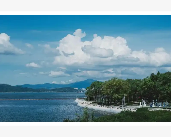 脸上长斑?中医调理方法揭秘!探讨中医调理面部黑斑的方法
