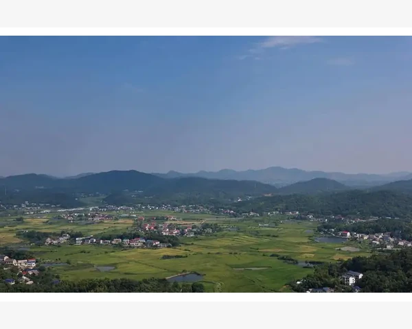 冰糖炖梨：润肺化痰，中医养生的良方